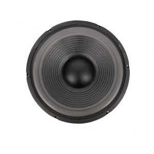 difuzor-hi-fi-home-12-305mm-150-300w-8-ohmi-30hz-3khz-carguard-hsp005-1.jpg